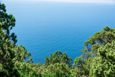 tropikal deniz manzarası kıyı görünümü