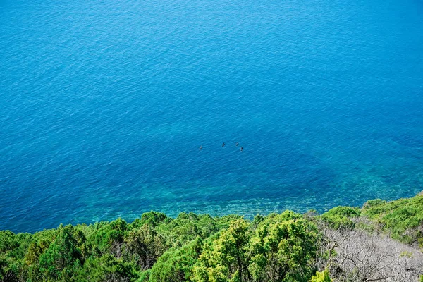 Tropische zeegezicht kustlijn weergave — Stockfoto