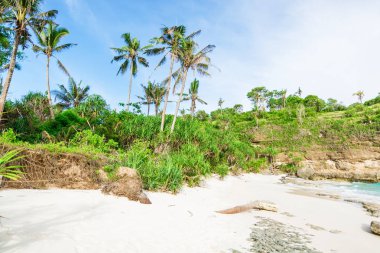 tropikal deniz manzarası kıyı görünümü