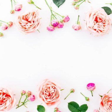 Güzel pembe güller 