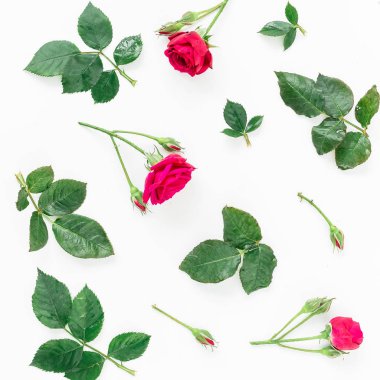 Güzel pembe güller 