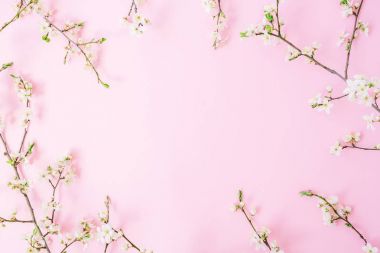 Bahar çiçeği pembe çiçekler