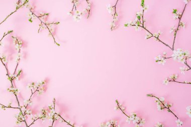 Bahar çiçeği pembe çiçekler