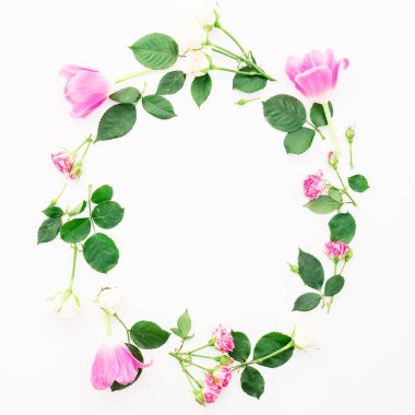 Beyaz arkaplanda güzel çiçekler