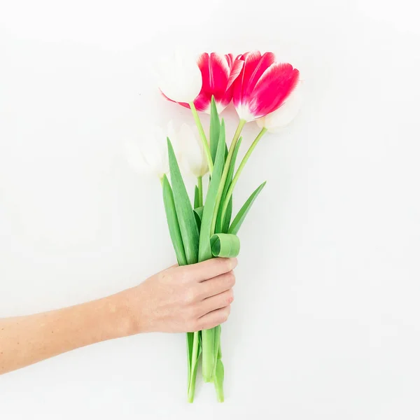 手拿着白色背景上孤立的郁金香花束 — 图库照片