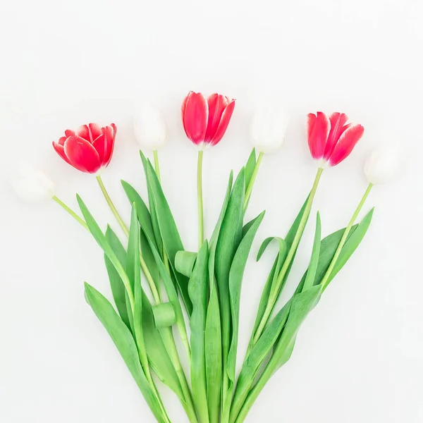 Inschrijving tulp bloemen — Stockfoto
