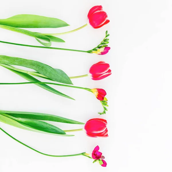 Schöne Blumen auf weißem Hintergrund — Stockfoto