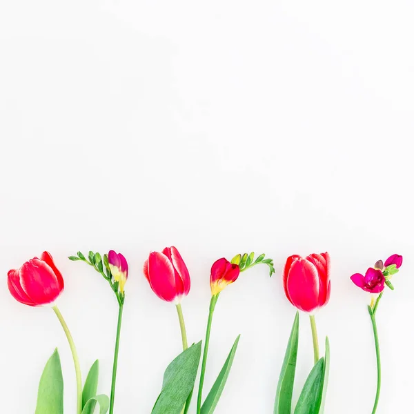 Belas flores no fundo branco — Fotografia de Stock