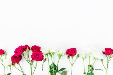  Güzel kırmızı ve beyaz güller 