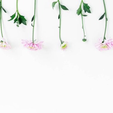 Beyaz arkaplanda güzel çiçekler