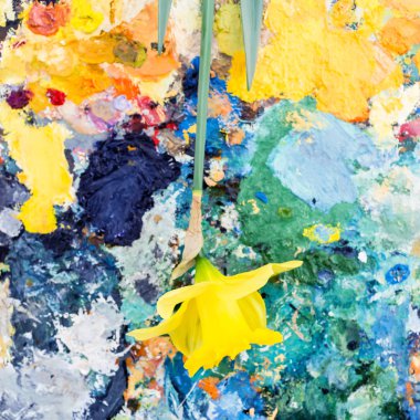 Canlı Yağlıboya Resim arka plan üzerinde sarı nergis Üstten Görünüm