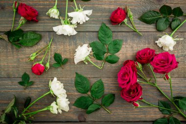 parlak kırmızı ve beyaz güller