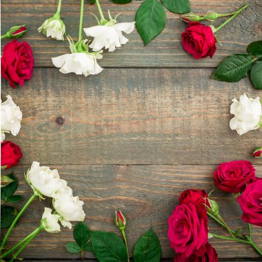 parlak kırmızı ve beyaz güller