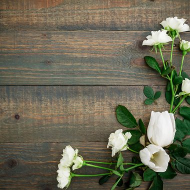 güzel parlak çiçekler