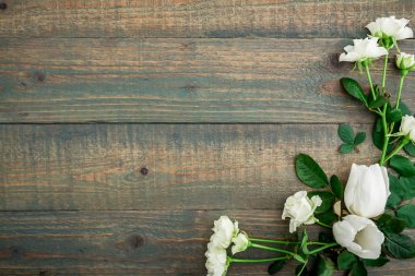 güzel parlak çiçekler