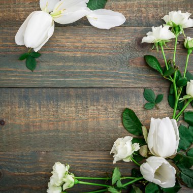 güzel parlak çiçekler