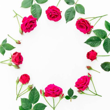 güzel kırmızı gül 