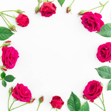 güzel kırmızı gül 