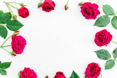 güzel kırmızı gül 