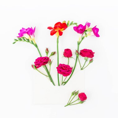 Beyaz arkaplanda güzel çiçekler