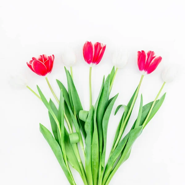 Flores de tulipa macias — Fotografia de Stock