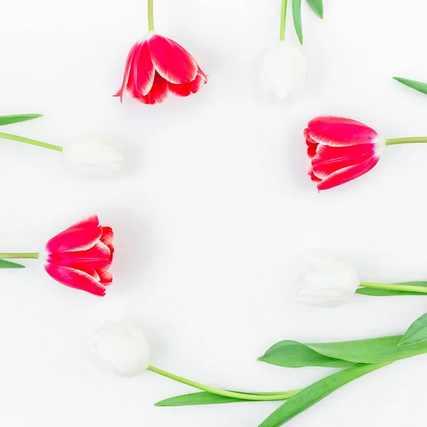 Inschrijving tulp bloemen — Stockfoto