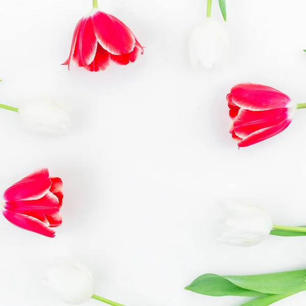 Anbud tulpan blommor — Stockfoto