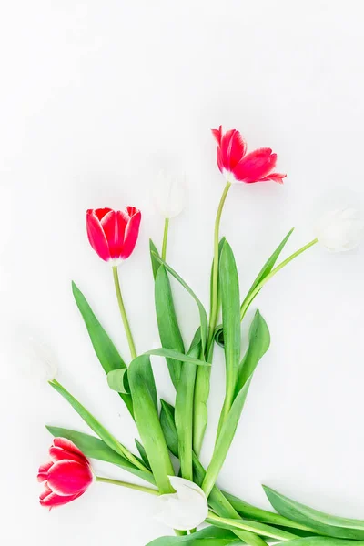 Strauß von Tulpenblumen — Stockfoto