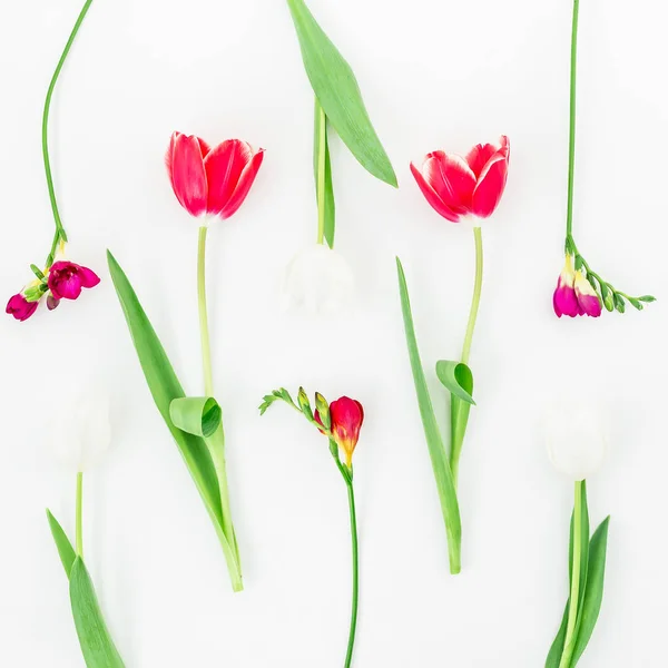 Gyengéd virág tulipán minta — Stock Fotó