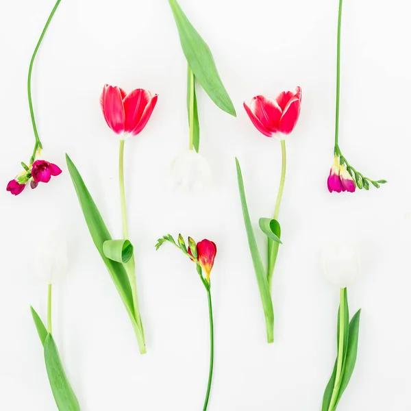 Tender flower tulips pattern