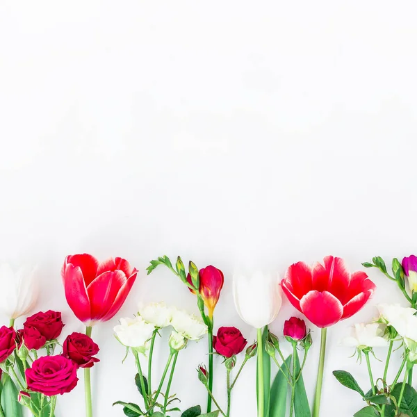 Schöne zarte Blumen — Stockfoto