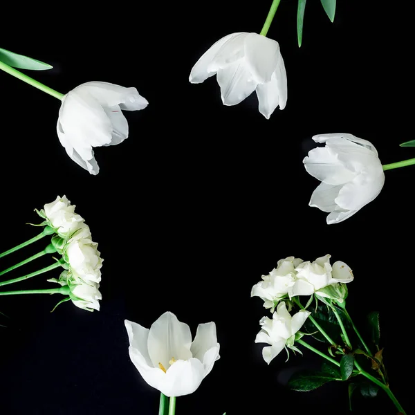 튤립 꽃과 장미 — 스톡 사진