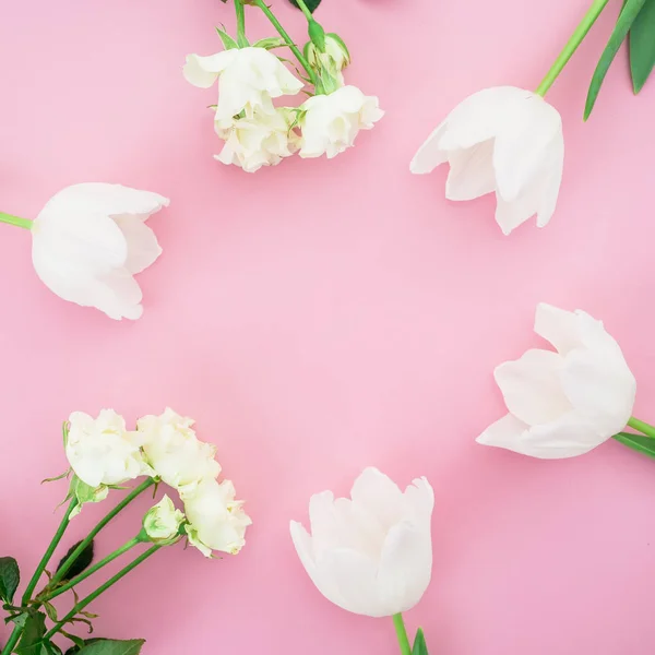 Hermosas flores brillantes — Foto de Stock