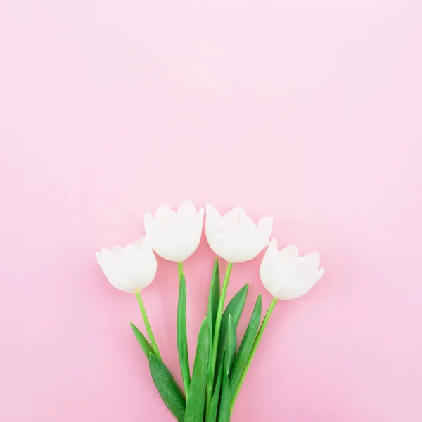 Красивые яркие тюльпаны — стоковое фото
