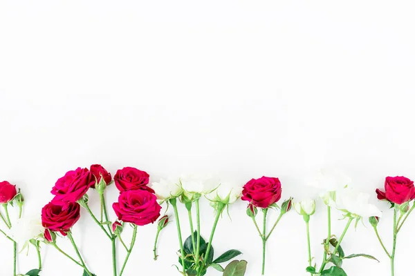 Mooie rode en witte rozen — Stockfoto