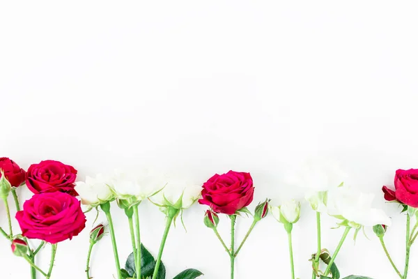Mooie rode en witte rozen — Stockfoto
