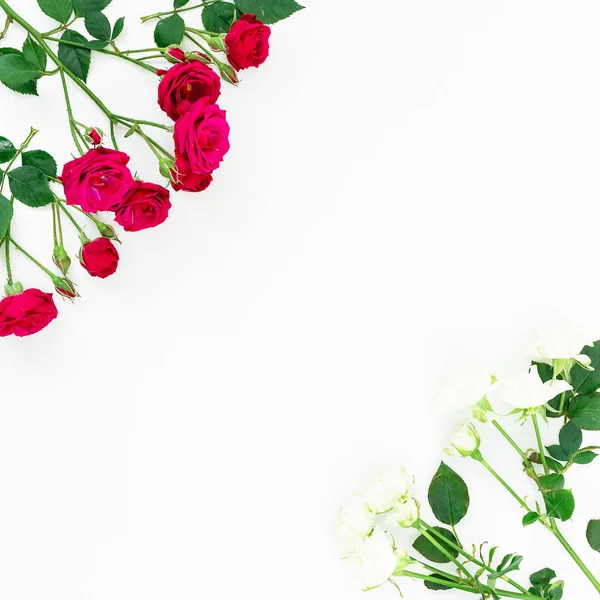 Mooie heldere rozen — Stockfoto