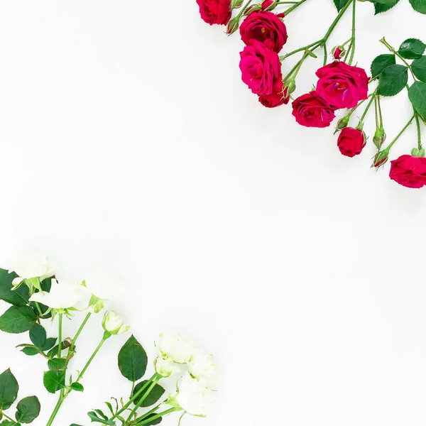 Красивые яркие розы — стоковое фото