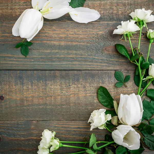 Lindas flores brilhantes — Fotografia de Stock