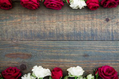  Güzel kırmızı ve beyaz güller 