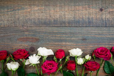  Güzel kırmızı ve beyaz güller 