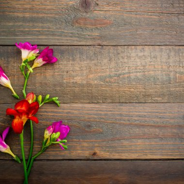 Ahşap arka planda güzel çiçekler