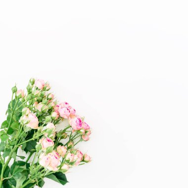 beyaz üzerine pembe güller