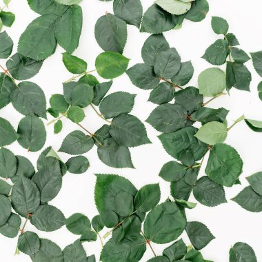 Yeşil yaprakları yaratıcı desen yaptı 