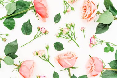 beyaz üzerine pembe güller