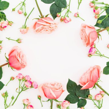 beyaz üzerine pembe güller