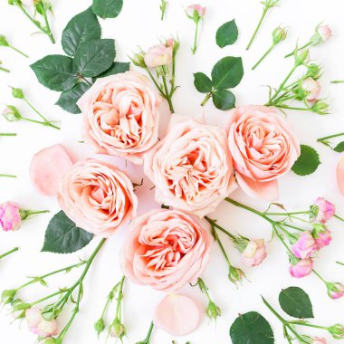 beyaz üzerine pembe güller