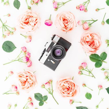 pembe güller ve kamera