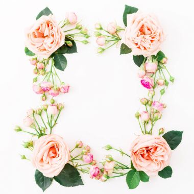 beyaz üzerine pembe güller