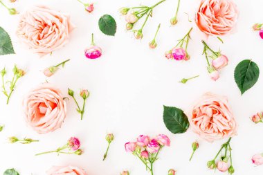 beyaz üzerine pembe güller